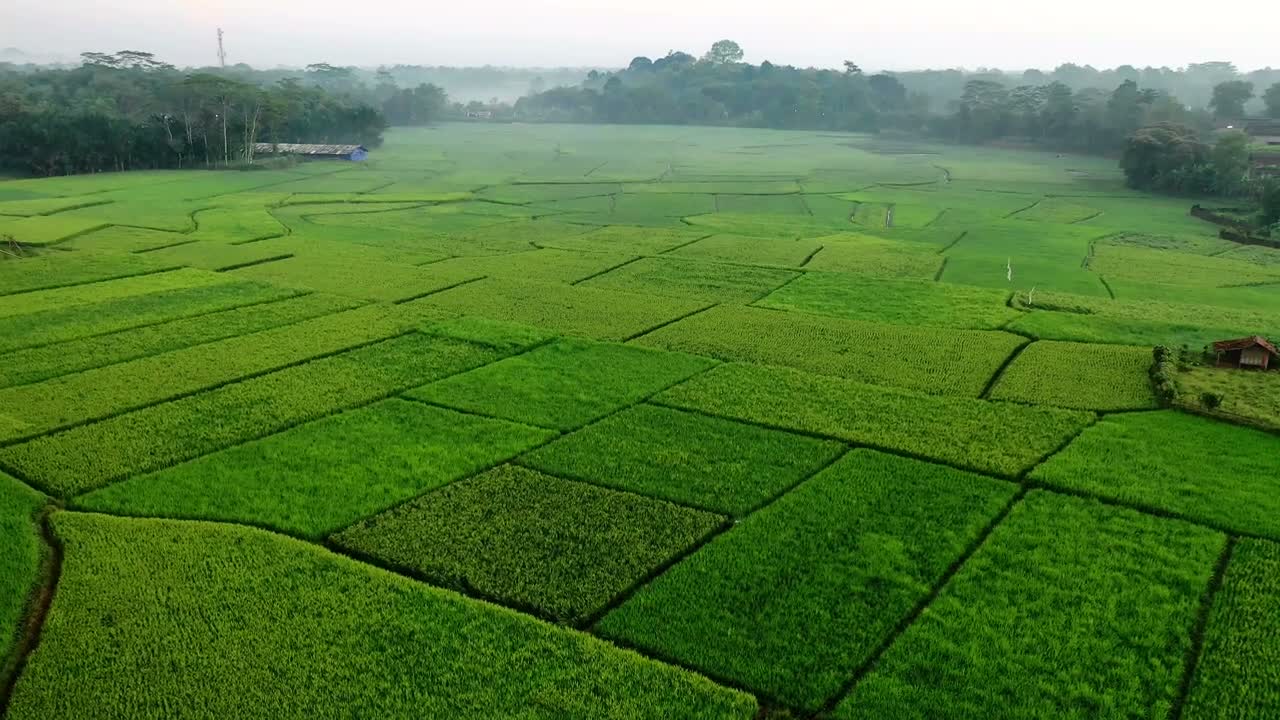 Công Ty cổ Phần Nông Dược HAI