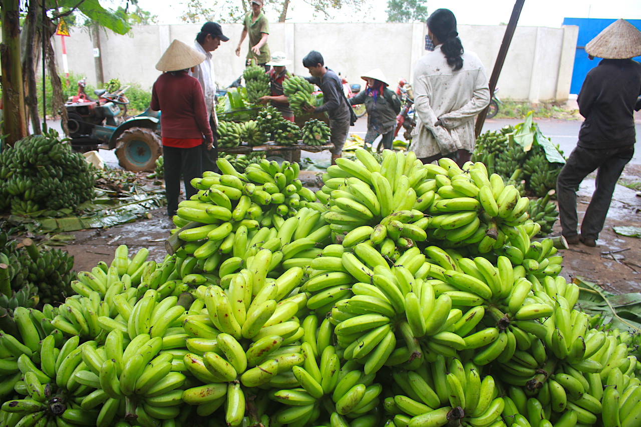 Harvest