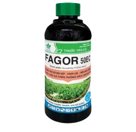 FAGOR 50EC