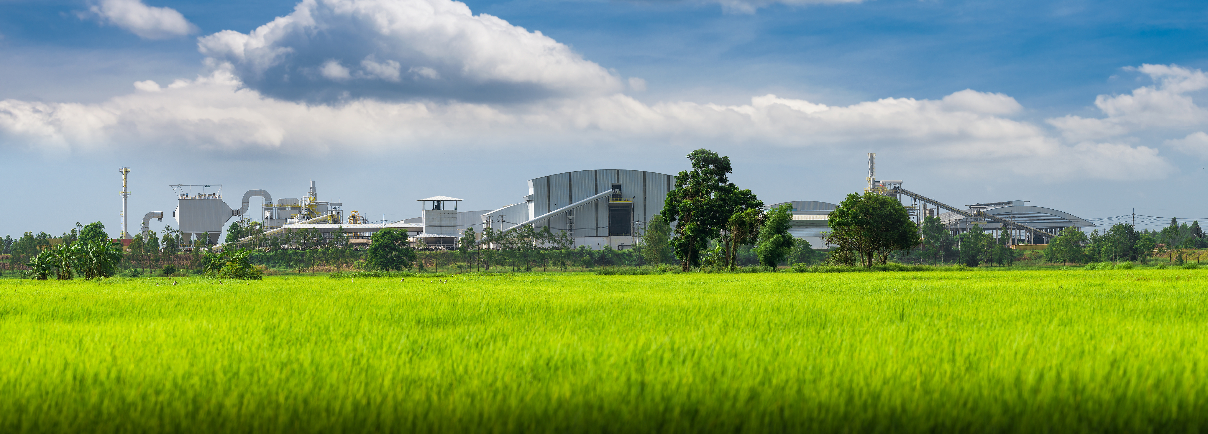 LĨNH VỰC HOẠT ĐỘNG