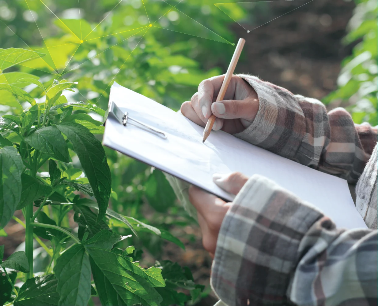Monitoring growth
