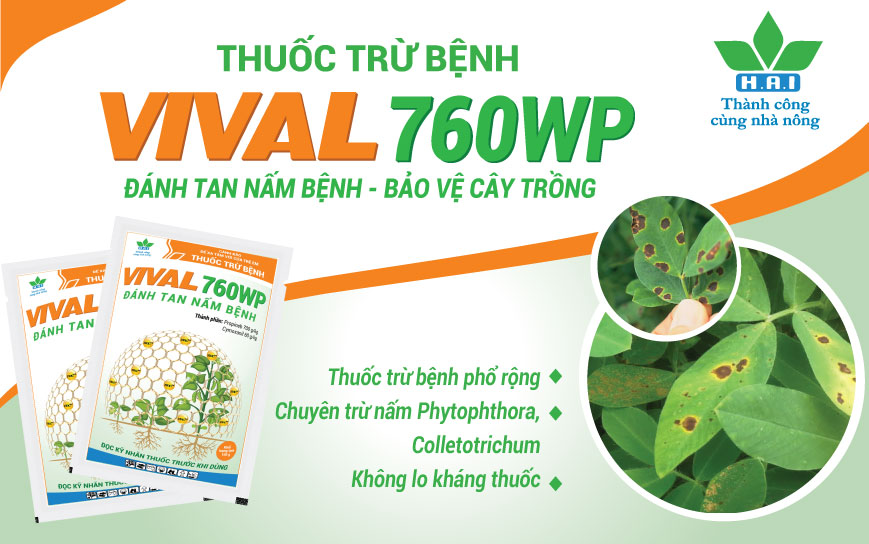 Bà Con Cập Nhật Ngay Sản Phẩm Mới Vival 760wp