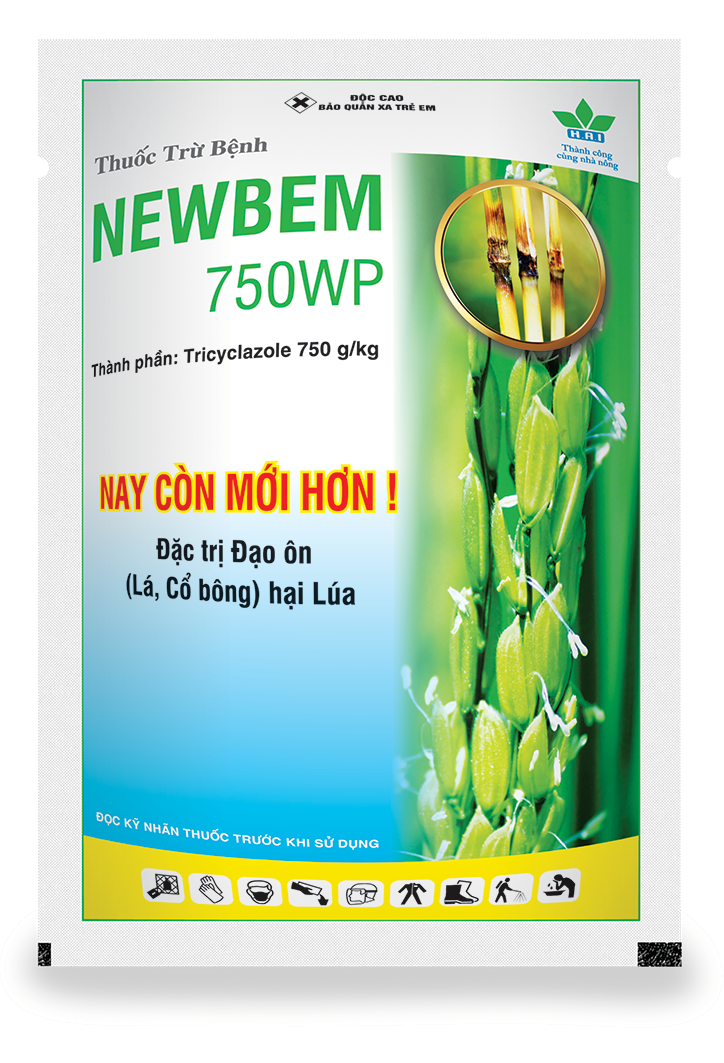 NEWBEM 750WP