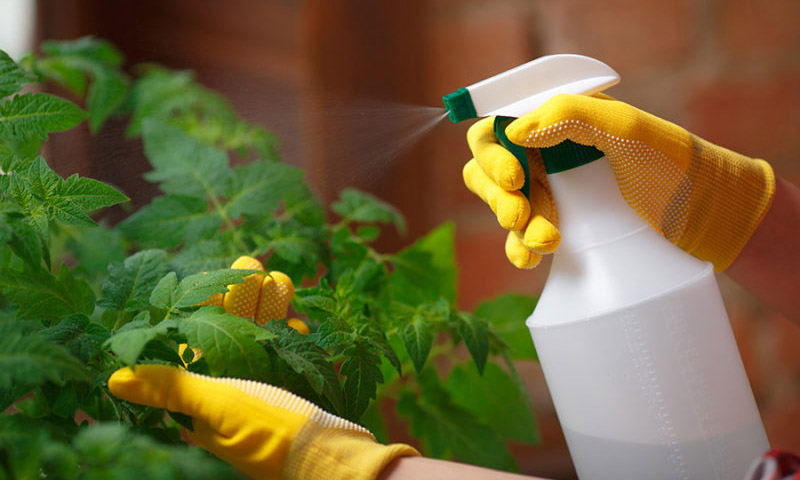 Disease prevention