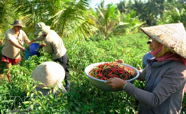 Harvest