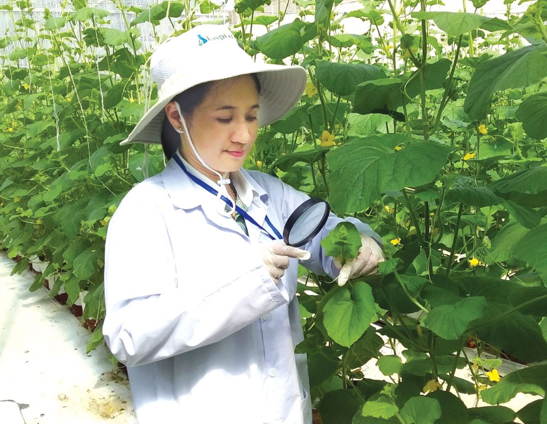 Check for pests and diseases