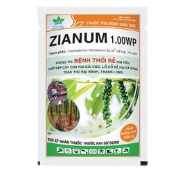 ZIANUM 1.00WP