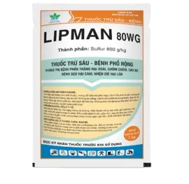 LIPMAN 80WG