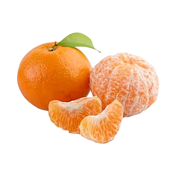 Quýt