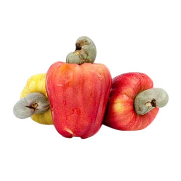 Điều